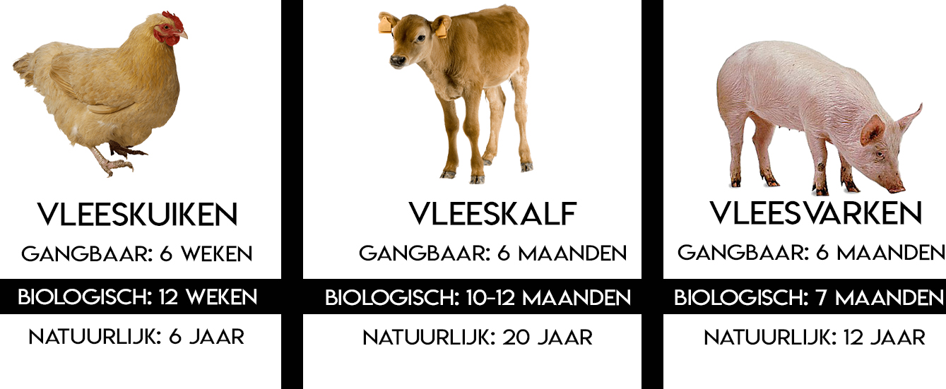 Is biologisch vlees beter? – Plantaardiger
