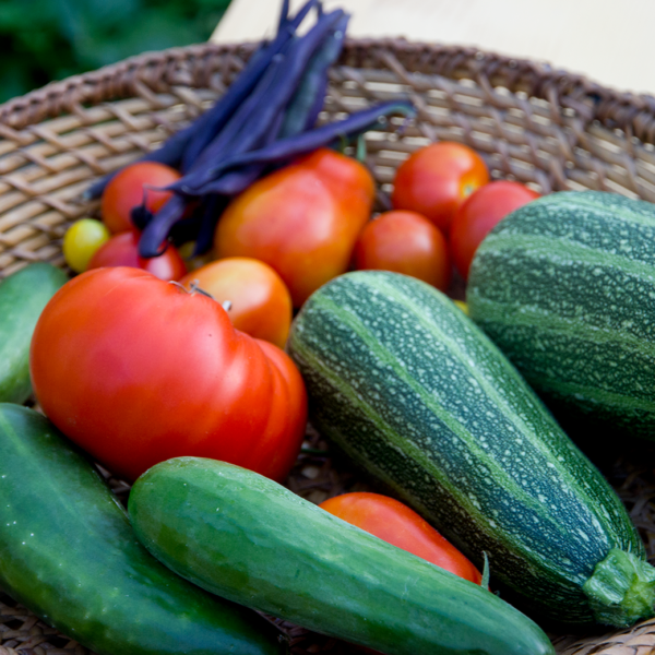 E-book: Een Natuurlijke Moestuin - Afbeelding 4