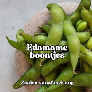 Edamame boontjes