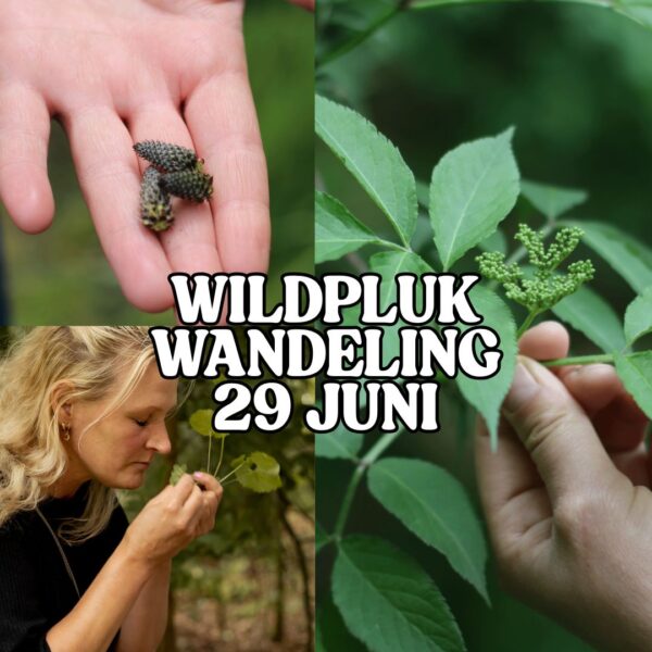 Wildplukwandeling 29 Juni
