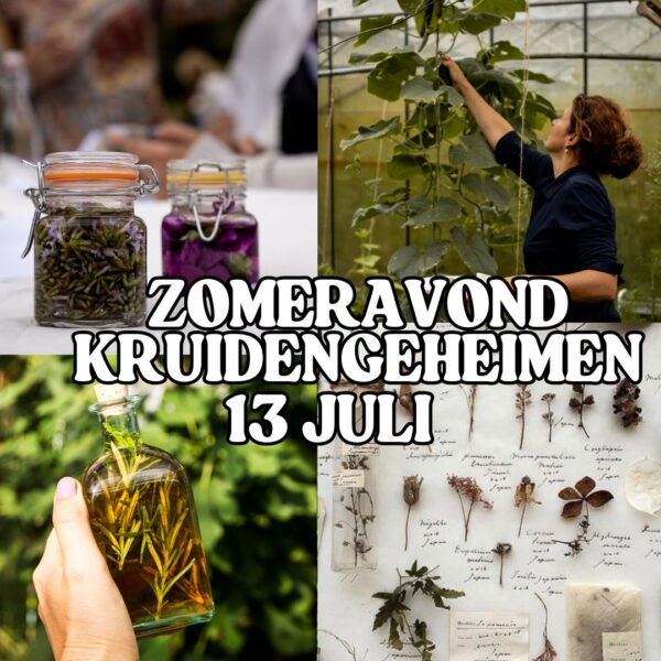 Zomeravond: Kruidengeheimen - 13 Juli