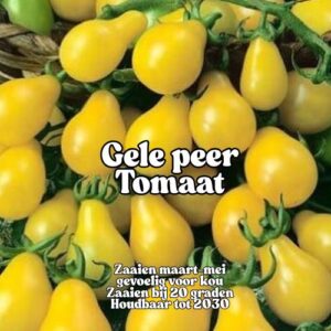 Gele Peer Tomaat zaden