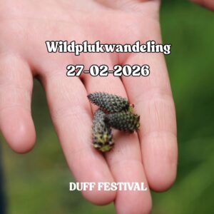 Ticket Wildpluk Workshop DUFF Festival 27/2