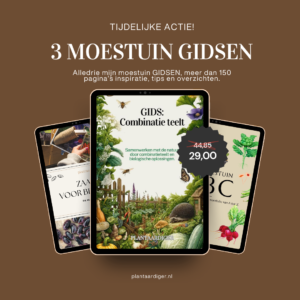 3 Moestuin Gidsen ACTIE!